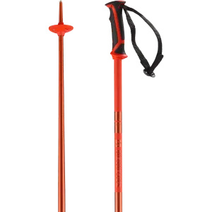 ARCTIC SKI POLES