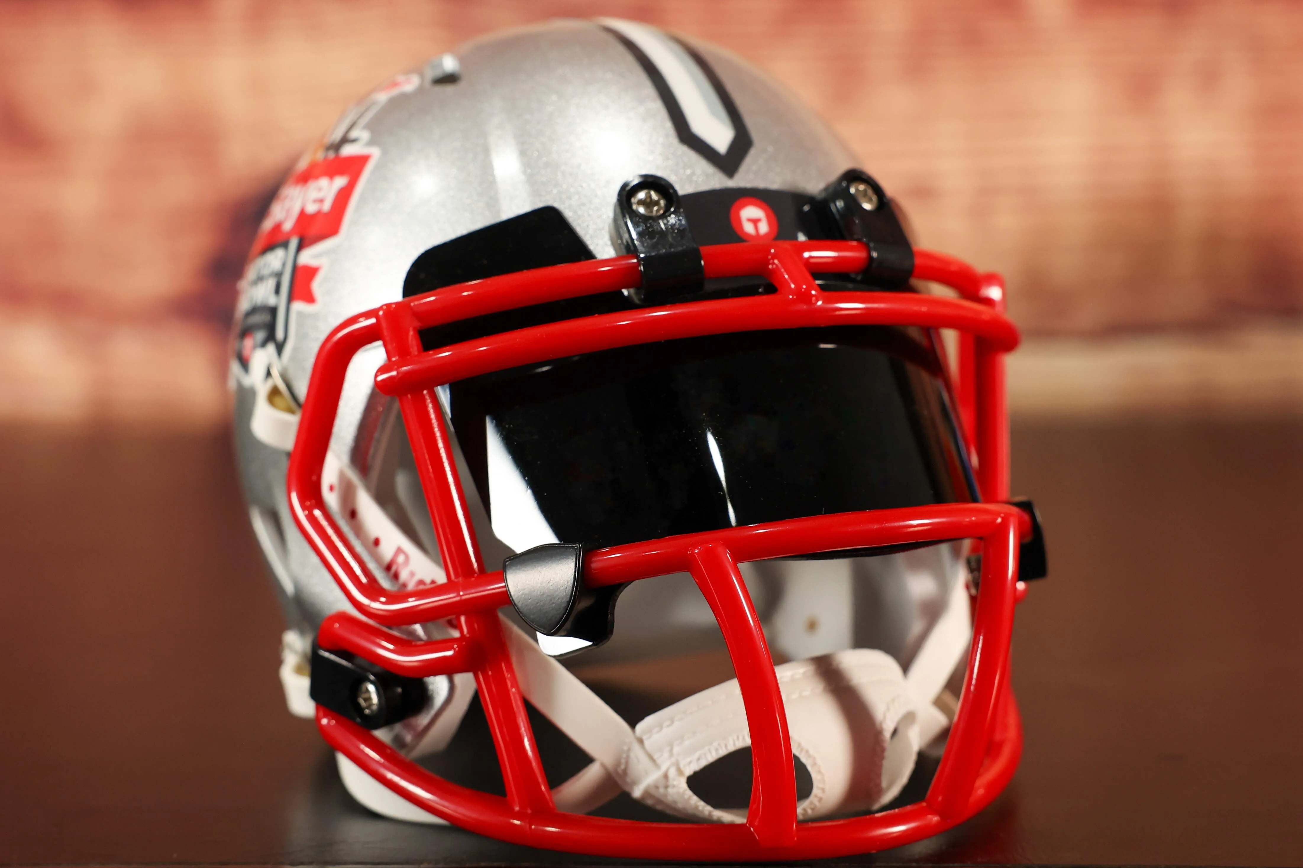 Custom Mini Helmet - TaxSlayer Gator Bowl
