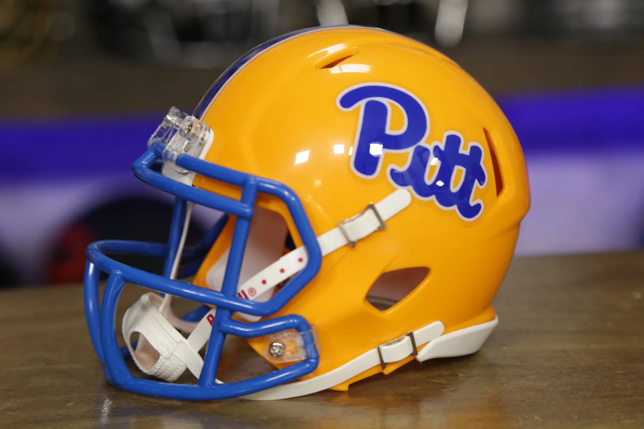 Pittsburgh Panthers Riddell Speed Mini Helmet
