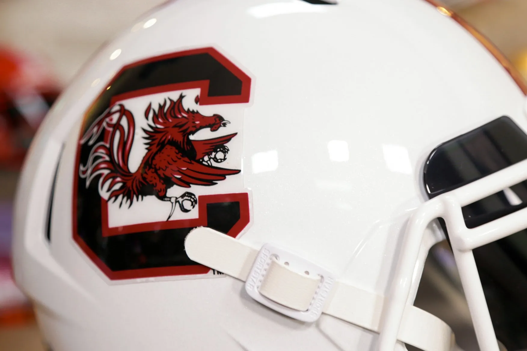 South Carolina Gamecocks Riddell Speed Display Helmet - GG Edition 00273