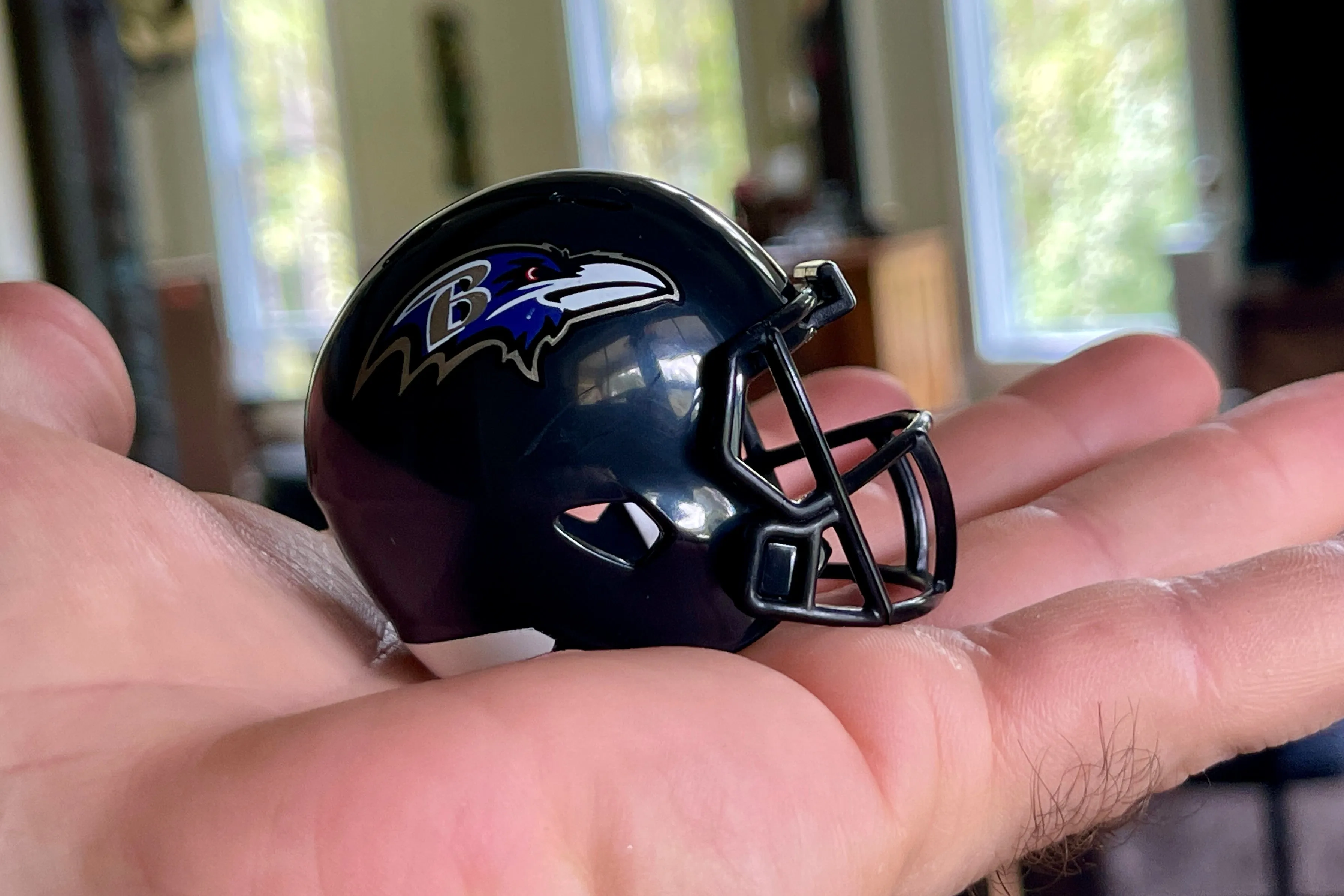 Tennessee Titans Riddell Speed Pocket Pro